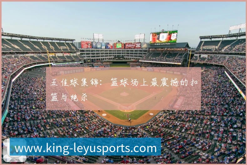 乐鱼体育平台生态图