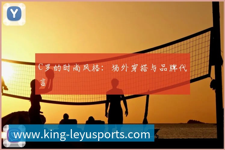 中国排球联赛观赛指南：赛程与球队介绍